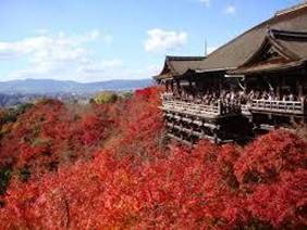 ねぎって？